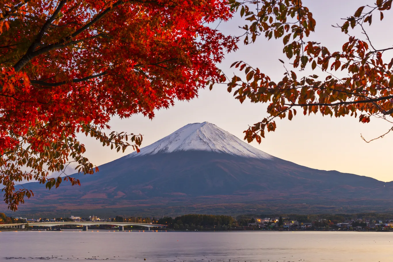 Der Fuji mit Schneekappe über einem See in der Abendsonne, im Vordergrund leuchtend rote Ahornblätter