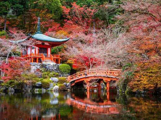 Die Bentendō-Halle des Daigo-ji in Kyoto, umgeben von rotem Ahorn