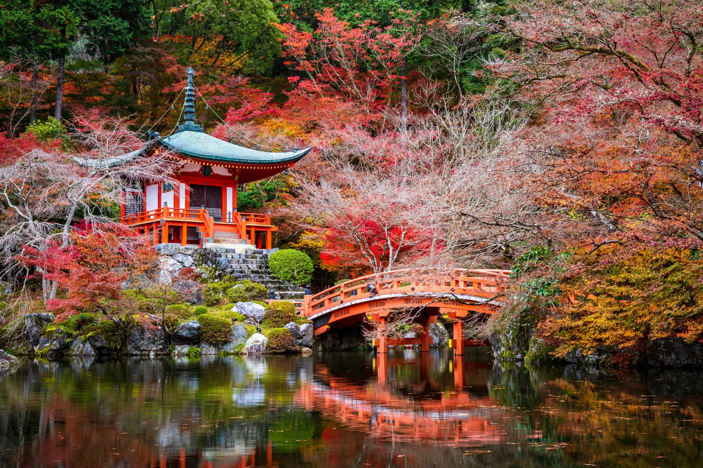 Die rot lackierte Bentendō-Halle des Daigo-ji am Teichufer, umgeben von rotem und orangem Ahorn, davor eine geschwungene Holzbrücke