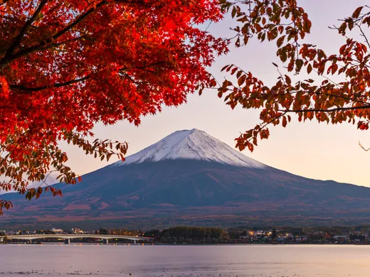 Rotes Ahornlaub vor dem schneebedeckten Fuji am Kawaguchi-See
