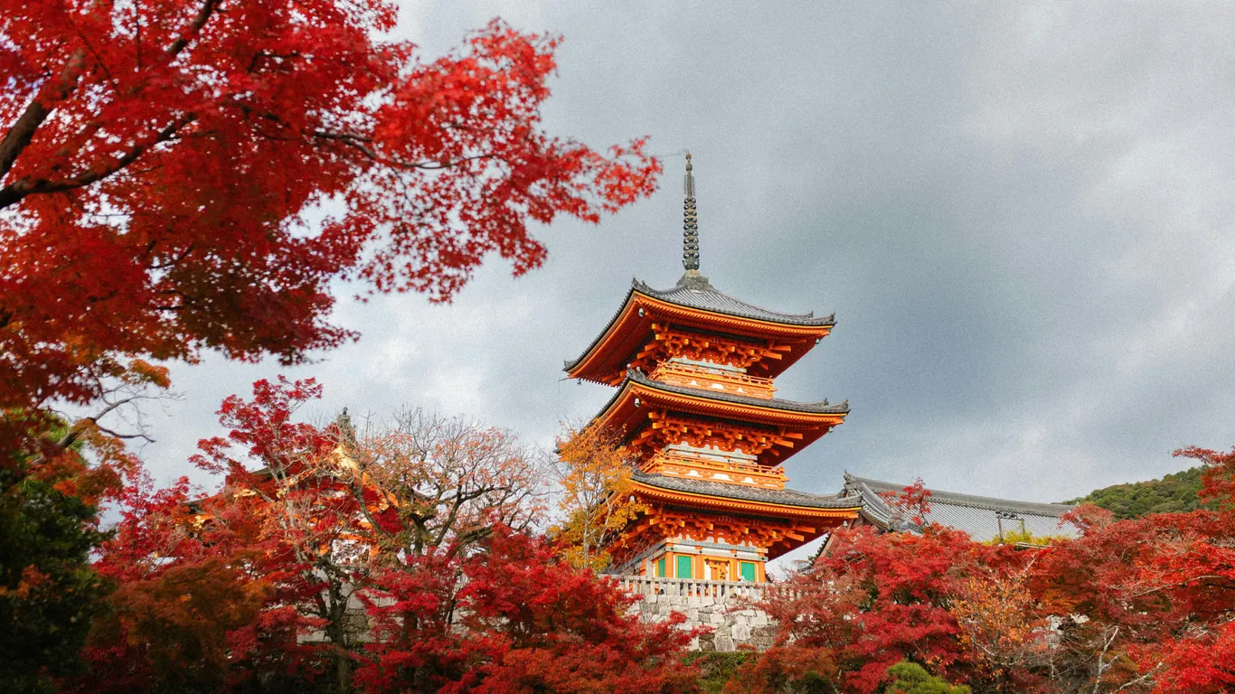 Die orange Pagode des Kiyomizu-dera in Kyoto zwischen rotem Ahorn unter grauem Himmel