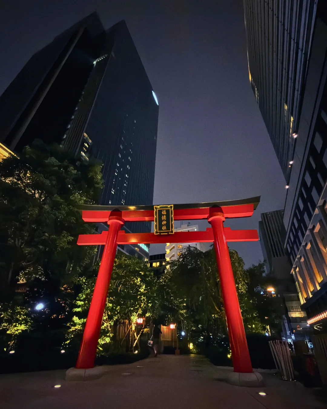 Großes rotes Torii mit goldener Namenstafel bei Nacht, dahinter beleuchtete Bäume, links und rechts dunkle Hochhäuser