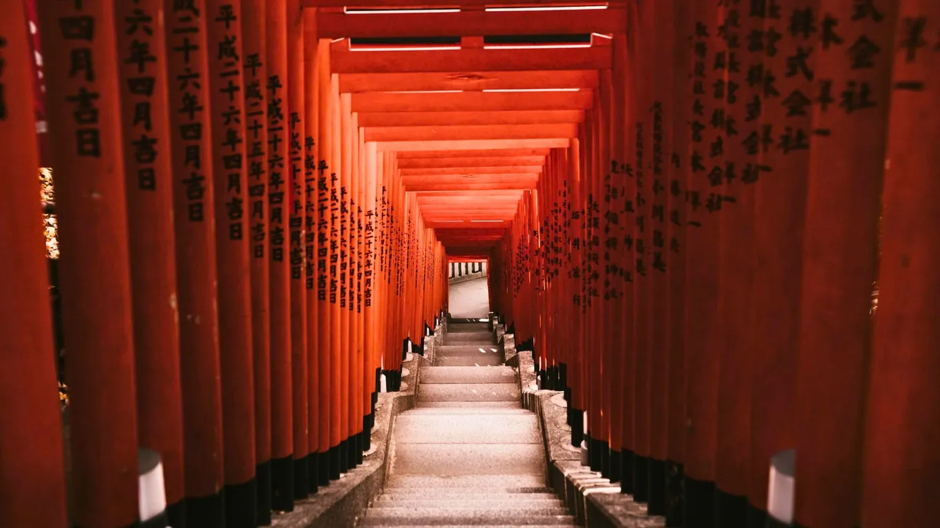 Steile Treppe, die durch einen langen Tunnel aus roten Torii mit schwarzer Beschriftung führt