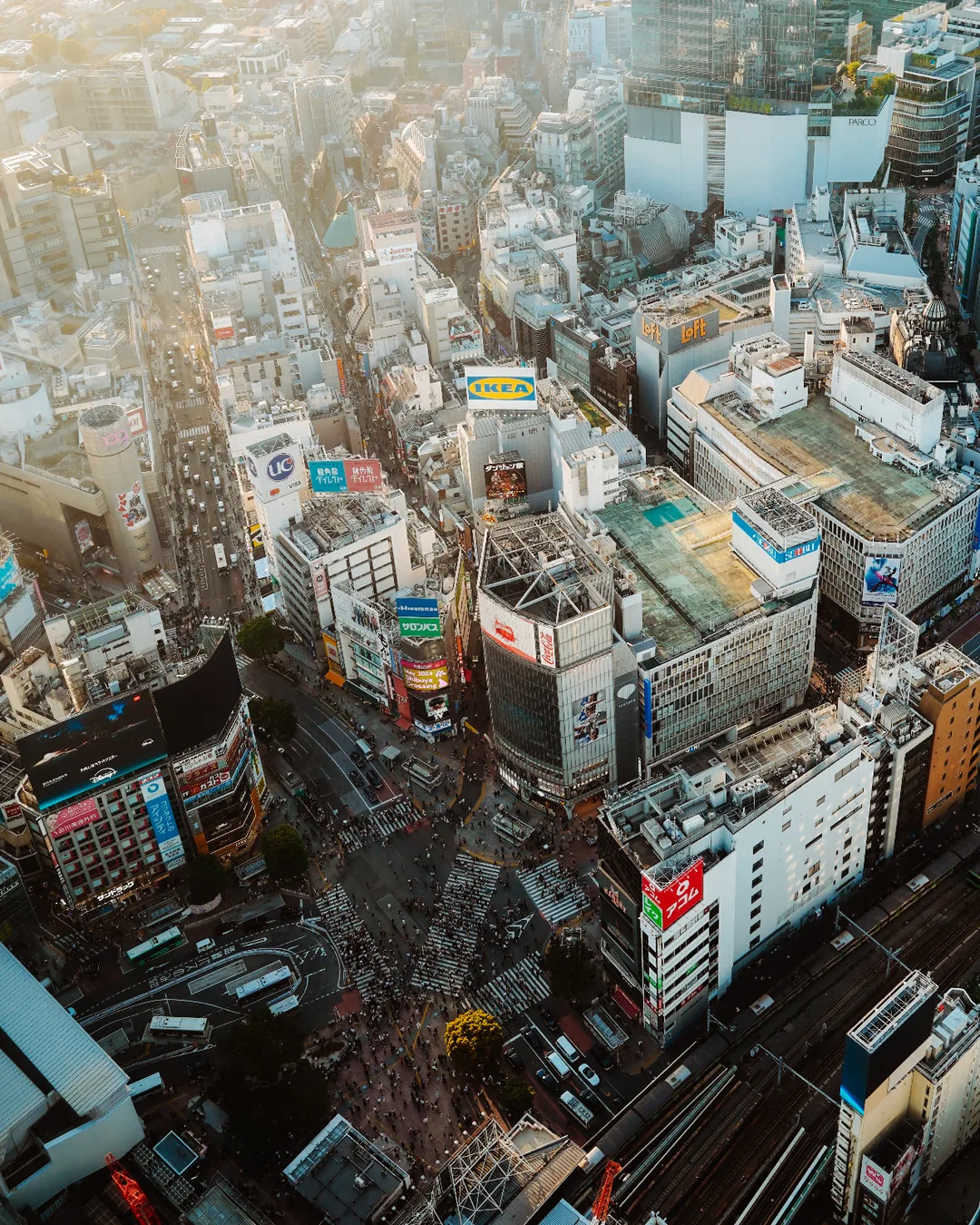 Blick von oben senkrecht auf die Kreuzung von Shibuya mit Menschenmengen auf den Zebrastreifen, dahinter Häuserblocks im Abendlicht